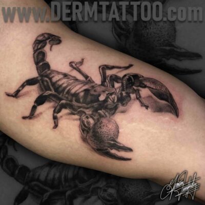 Realistic scorpion tattoo on a person's arm.