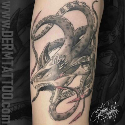 A detailed black and gray tattoo of a snake coiled around a skull.