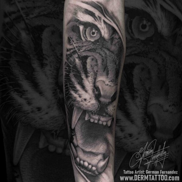 Tattoo Artist: German R.Fernandez (DERM TATTOO)