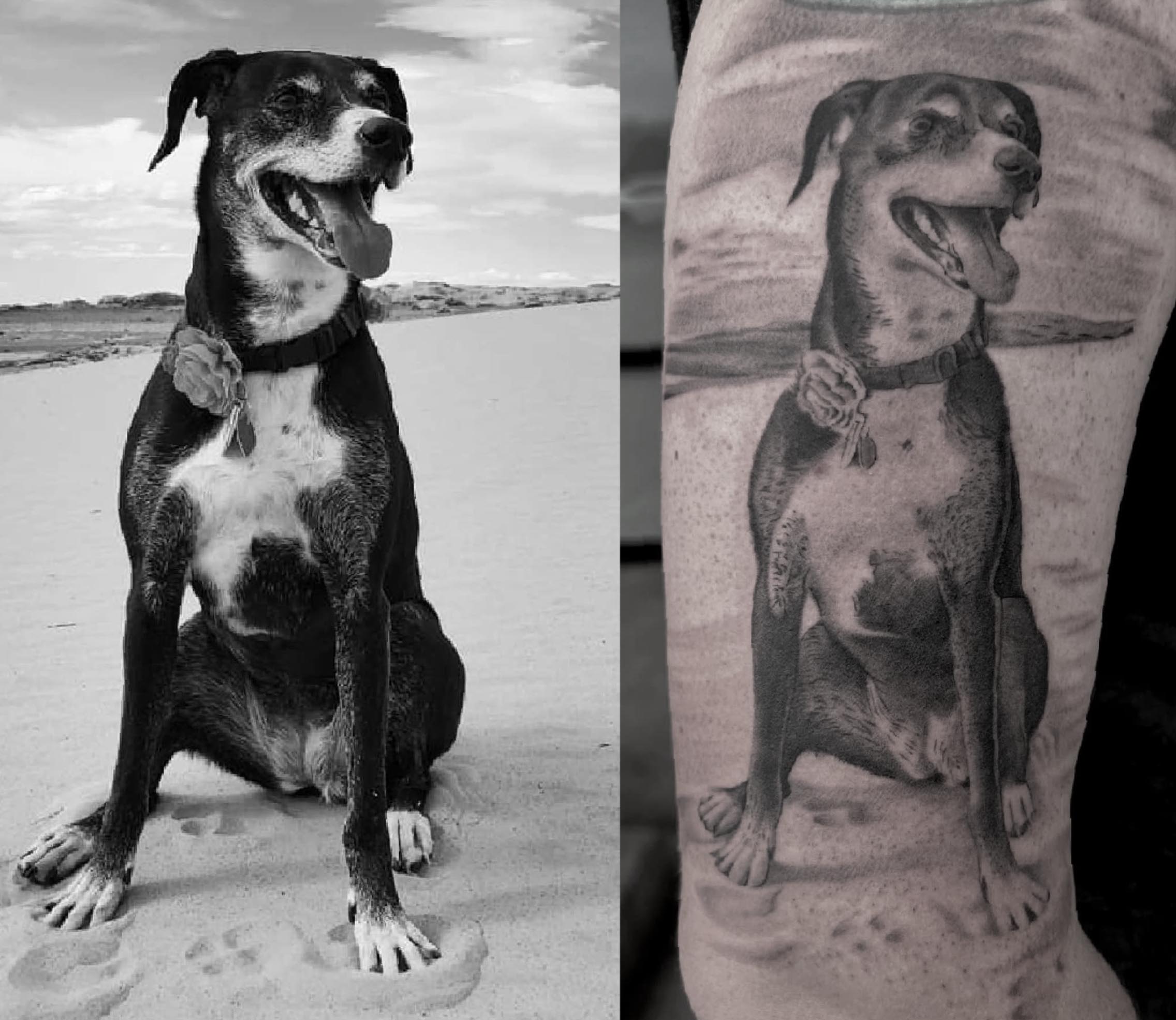 Black and white photo and tattoo of a dog sitting.