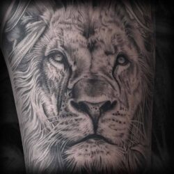 thumbnail121qwww2 Fine Line Realism Black And Grey Tattoo Artist German Fernandez from DERM TATTOO STUDIO Castle Rock Colorado